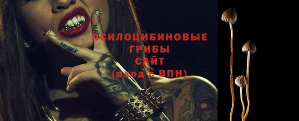 ПСИЛОЦИБИНОВЫЕ ГРИБЫ Волоколамск