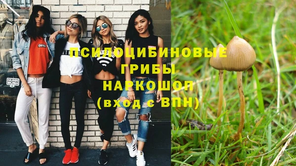ПСИЛОЦИБИНОВЫЕ ГРИБЫ Волоколамск
